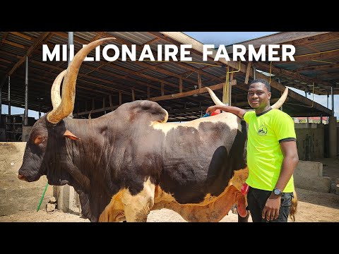 26yo Ghanaian Millionaire
