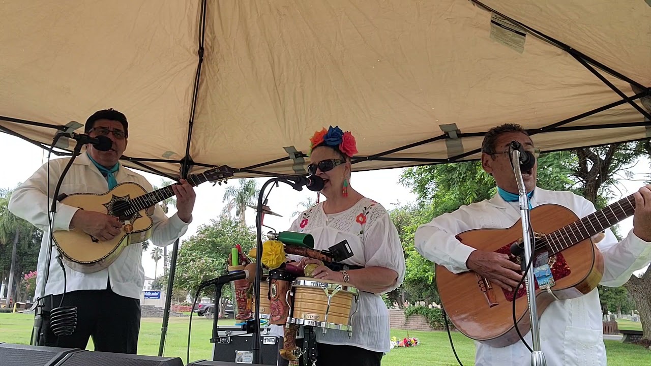 Promotional video thumbnail 8 for Mariachi Trio Los Azulado
