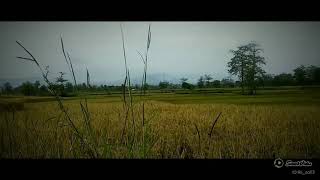 Download lagu Sholawat Burdah mp3 Download lagu Sholawat Burdah mp3