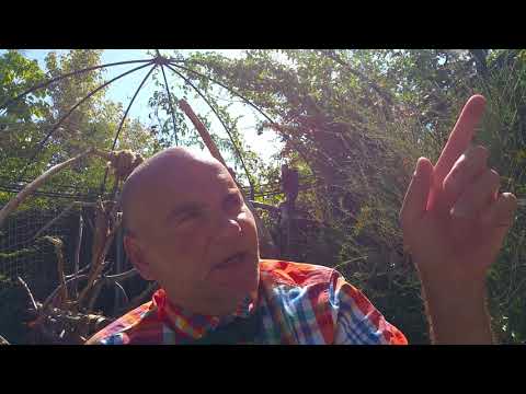 Note on Hot Shots! writer, director Jim Abrahams, with Charlie Sheen, Cary Elwes