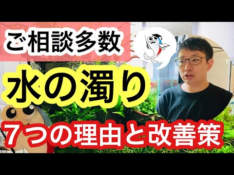 水槽の水が凍らないようにするにはどうすればよいですか?冬に幸せな鳥を育てるための簡単なヒント  庭園