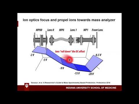 B4B: Module 8 - Ionization and ion guidance