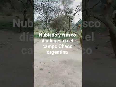 bueno días mi gente @dia lunes nublado y fresco Chaco villa Ángela argentina 🇦🇷 #argentina