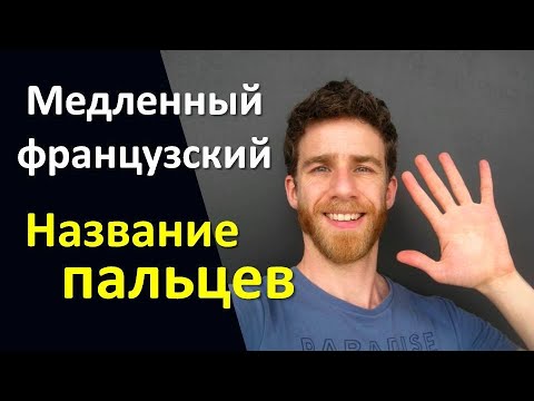 Название пальцев на французском - Медленный французский с субтитрами