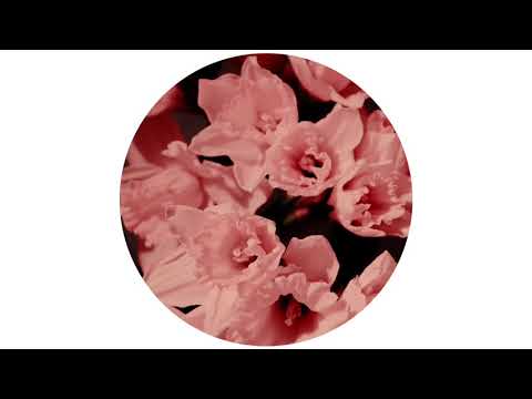 Physical Therapy - Buttercup