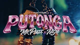 Mr Plata x Ñejo - Putonga (Video Oficial)