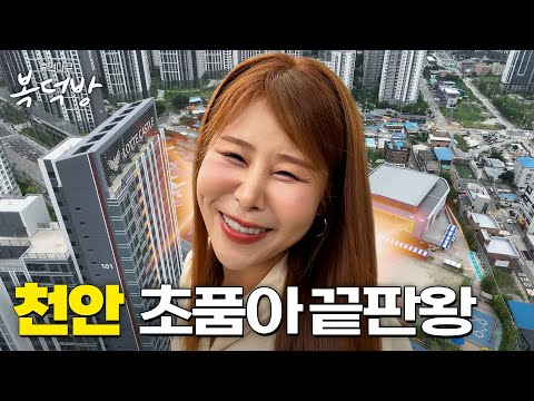 천안 초품아 끝판왕! 집에서 운동장 보이는 롯데캐슬 천안 더 두…