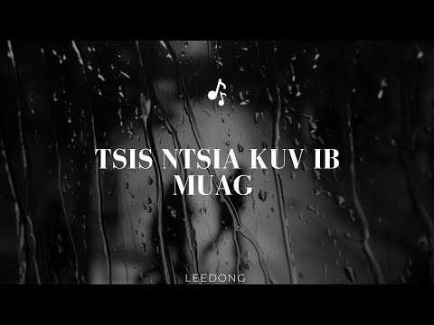 leedong-Tsis Ntsia Kuv Ib Muag (Official Audio) #hmong #laos #thailand (NEW HMONG MUSIC 2026)