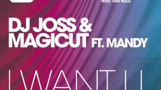 DJ Joss & Magicut ft. Mandy - I want U