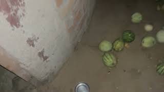 tell me what is this