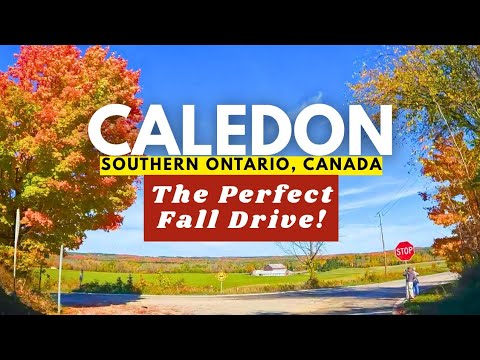Scenic Fall Drive: Caledon, Ontario, Canada | Autumn Leaves + Fall Foliage & Colours [4K]