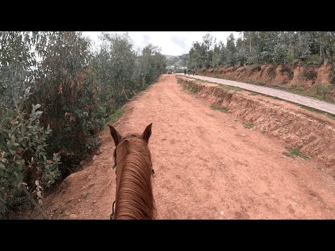 Así Es la Pampa de Ayacucho: Un Lugar Que Todo Peruano Debe Conocer