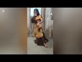 Chikni ChameLi 8K 4k Music Video L Katrina Kaif Hrithik L Agneepath L Shreya GhoshaL L Ajay AtuL