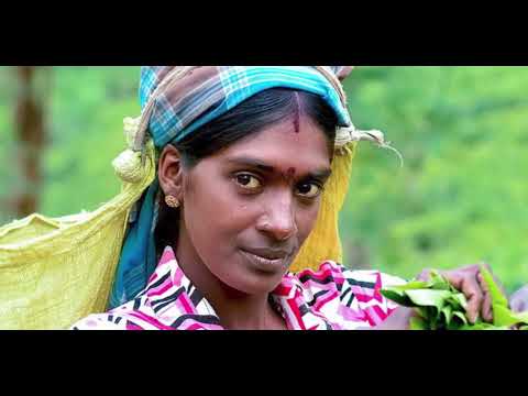 Hiru Genawilla Srimathi Thilakarathna හිරු ගෙනවිල්ලා - ශ්‍රීමතී තිලකරත්න