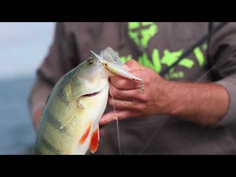 GUNKI - Knifehead 9cm SP DR Stripped Minnow