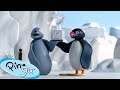 Pingu And Robby Make Ice Sculptures Pingu Official Channel Cartoons For Kids