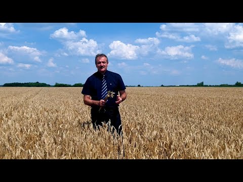 ŠTEFAN HUJ ŠTEF - Zašto ljudi stariti se mora