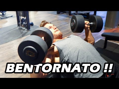 UN GIORNO IN PALESTRA | Workout Vlog