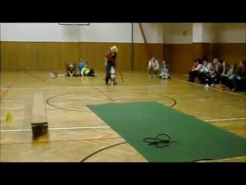 DogDancing - Nicoletta & Beauty