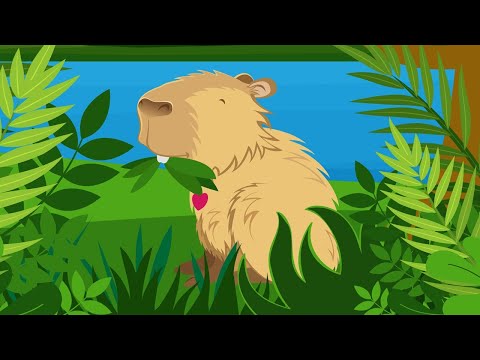Capa: Capivara