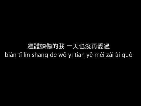梁文音 Wen Yin Liang (Rachel Liang) - 那女孩對我說 / Na Nu Hai Dui Wo Shuo (She told me) Lyric/Pinyin