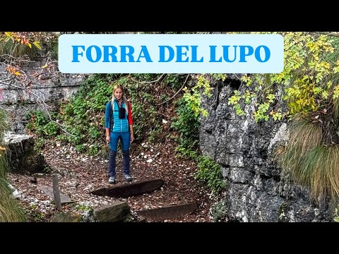 FORRA DEL LUPO | Folgaria - Trentino
