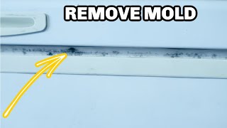 REMOVE MOLD FROM FRIDE OR FREEZER SEAL EASY | TEACH ME HOW TO CLEAN