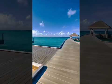 cora cora maldives  #anish #foryou #maldives