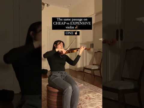 Cheap vs Expensive violin...#shorts