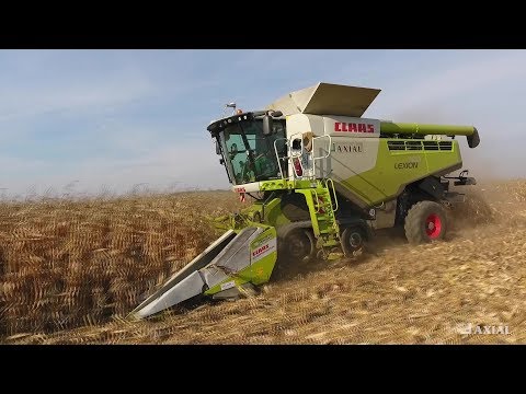 CLAAS LEXION 760TT [Bemutató Magyarországon kukoricában]