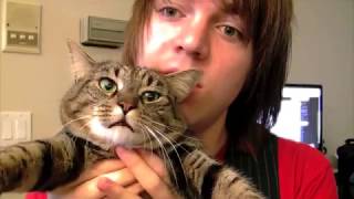 DON&#39;T TRUST ME  SARAH PALIN