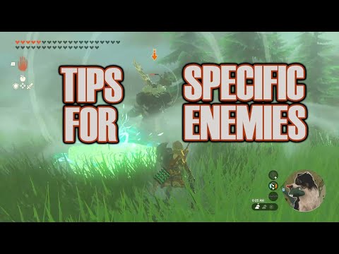 Tips for Specific Enemies - Tears of the Kingdom