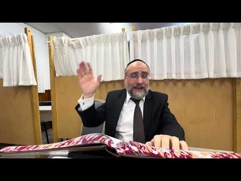 Zevakhim 69 rav Saadoun chlita 