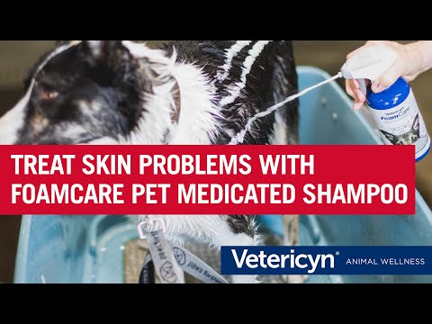 Vetericyn FoamCare® - Pet Shampoo for Thick Coats (473ml)