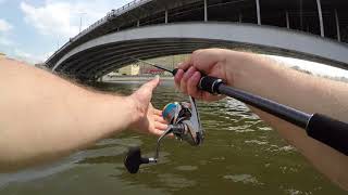 Graphiteleader vivo prototype 862 mh