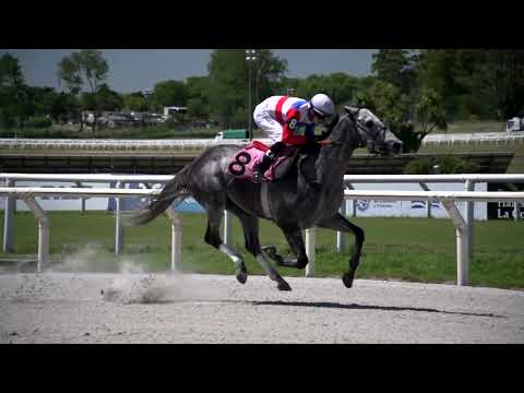 211226 c03 SALTANDO CHARCOS (ARG)