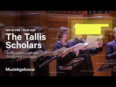 The Tallis Scholars: Van Palestrina tot Bach, woensdag 20 februari 2019 Muziekgebouw