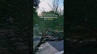 Download lagu Do'a seorang ibu #katakatabijak #katahatimotivasi #motivasikehidupan #short #shorts #fyp #fypシ゚viral mp3