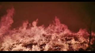 WATCH: Trail camera video of Ross Fire in Palo Pinto County. Video courtesy of Benny Mac Malone