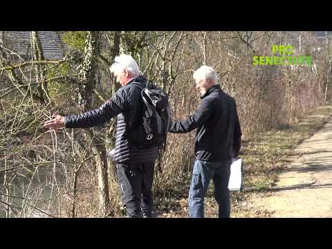 Unterwegs mit Andreas Etter - Biberkartierung im Kanton Solothurn