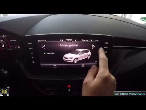 Skoda KAMIQ Review Infotainment System Amundsen Navi, Usability, Tips & Tricks, Info