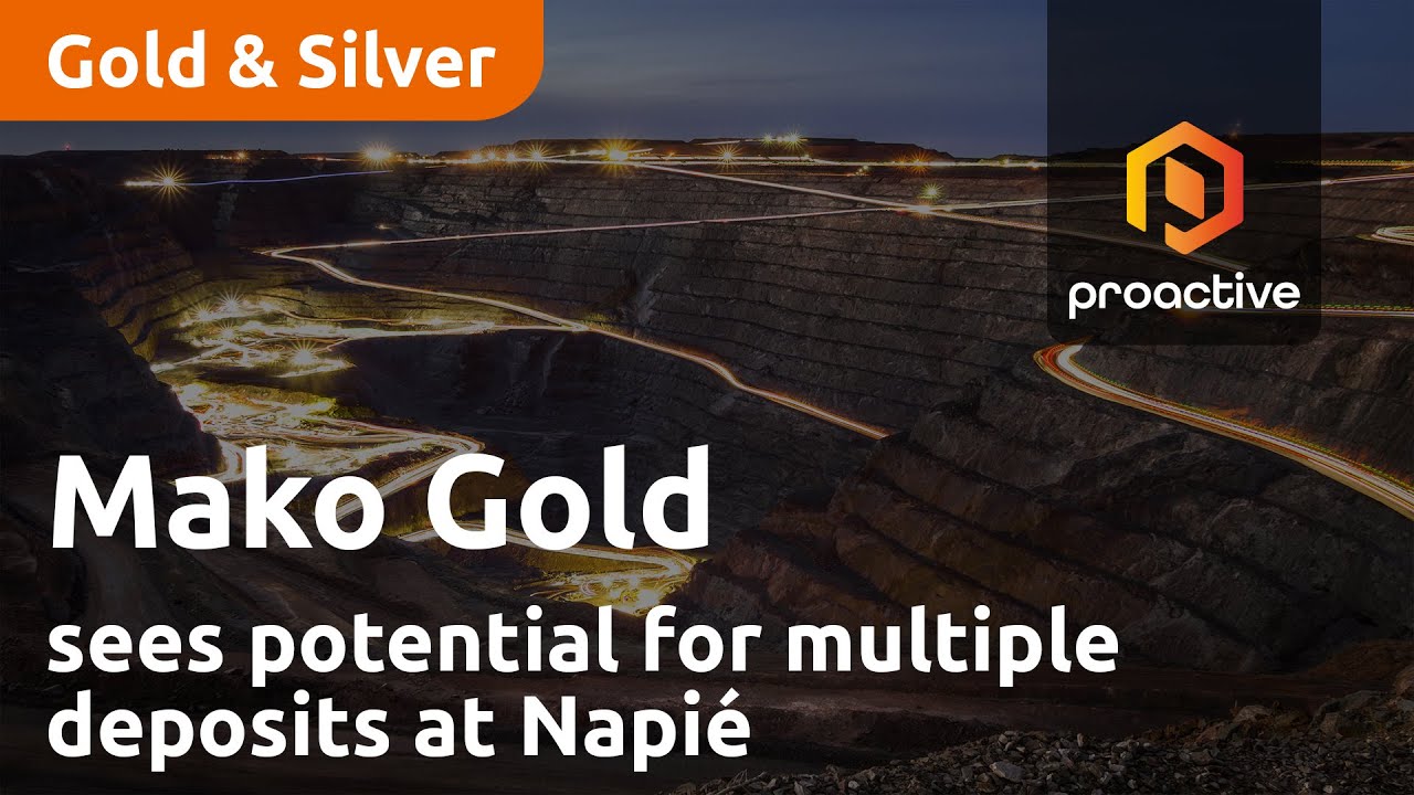 Mako Gold sees potential for multiple deposits at Napié