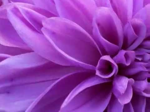 John Rutter - For the beauty of the earth