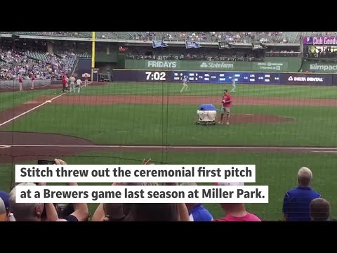 Watch a robot throw out the first pitch at a Brewers game