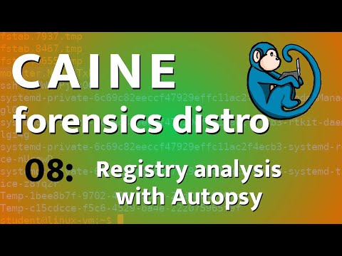 Windows Registry analysis using Autopsy - CAINE - 08