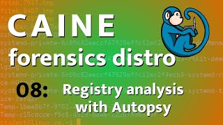 Windows Registry analysis using Autopsy - CAINE - 08