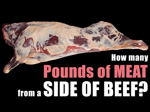 3rd YouTube video about how many oz of meat in a pound