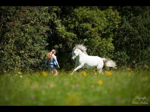 You belong to the wild