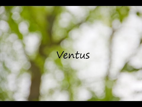 Shotcut Zoom Effekt! Tutorial | [German/Deutsch] | Ventus