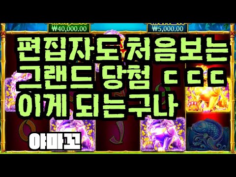 [슬롯][제보영상][닉네임:야마꼬] 팬더 806배